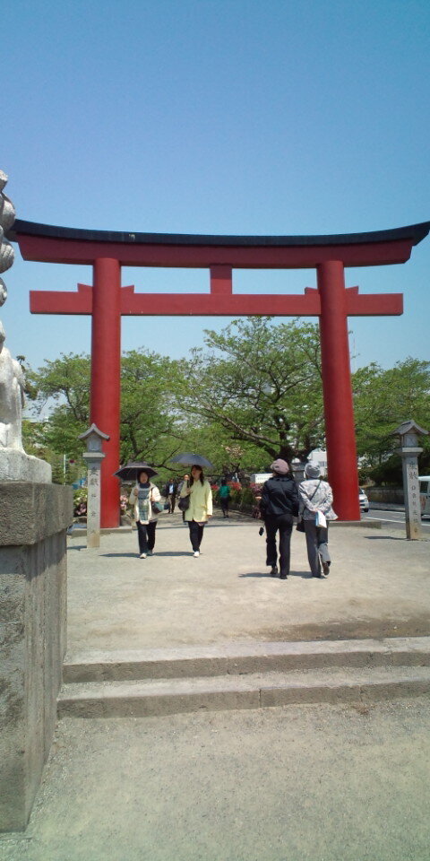 20100426113411.jpg