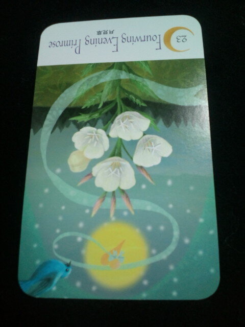 20120616125310.jpg