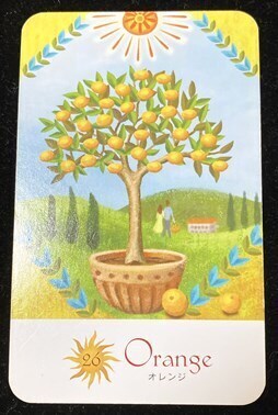 _imagesblog_c98sunandmoon/s-sun26E382AAE383ACE383B3E382B8_E6ADA3E4BD8DE7BDAE.jpg