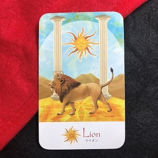 sun21ライオン.jpg